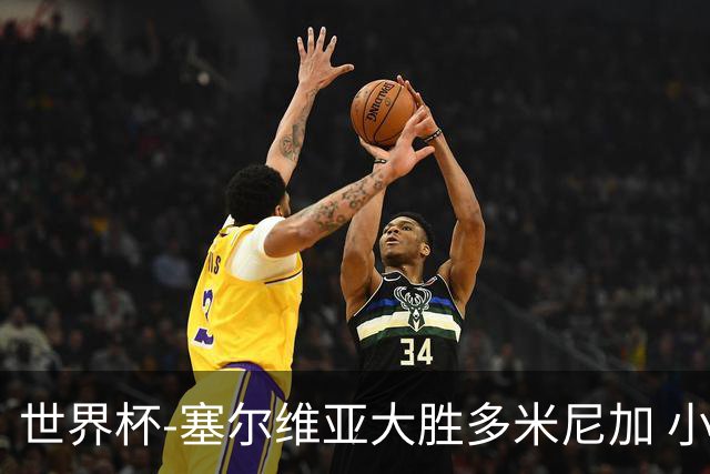 世界杯-塞尔维亚大胜多米尼加 小组第二进八强