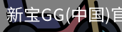 新宝GG